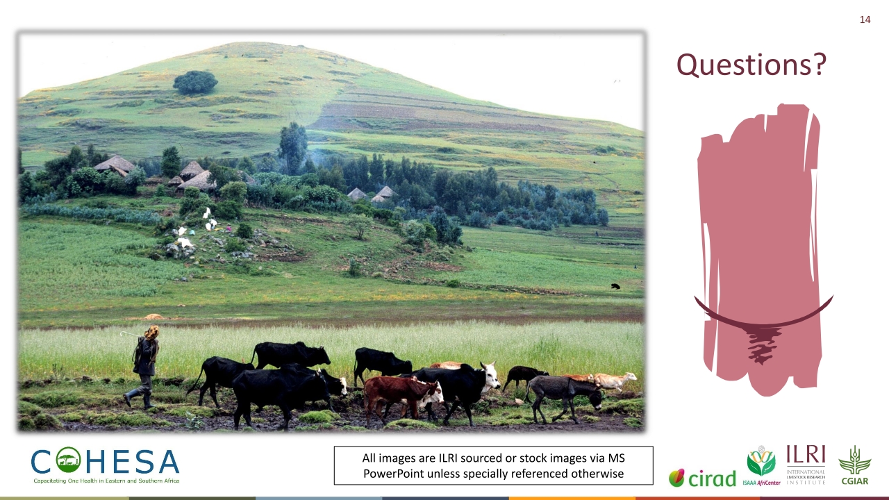 T3-COHESA-One-Health-Malawi-COHESA-Malawi-13122022-Shauna-Richards_p_c14