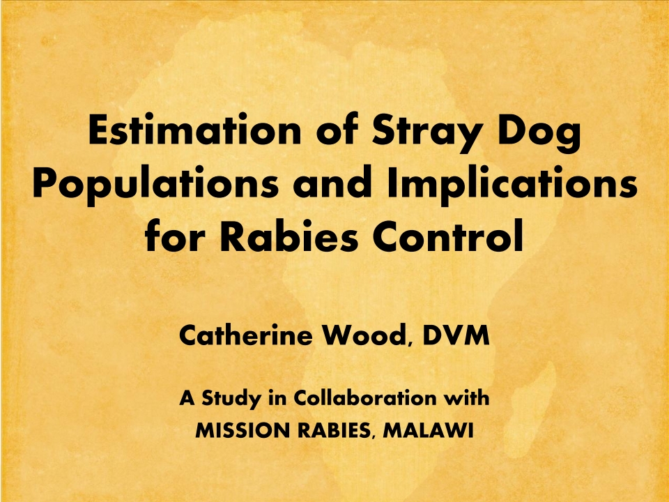 T3-LUANAR-One-Health-Malawi-Stray-Dogs-in-Rabies-Epidemiology-21.12.2022-Catherine-Wood_p_001
