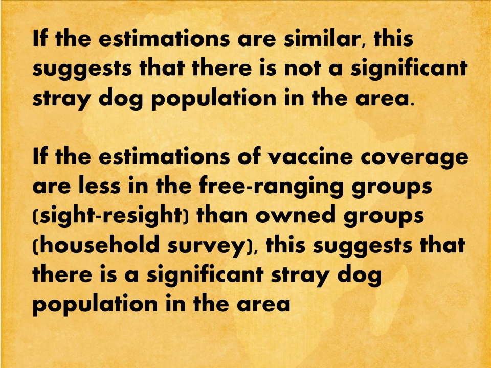 T3-LUANAR-One-Health-Malawi-Stray-Dogs-in-Rabies-Epidemiology-21.12.2022-Catherine-Wood_p_030