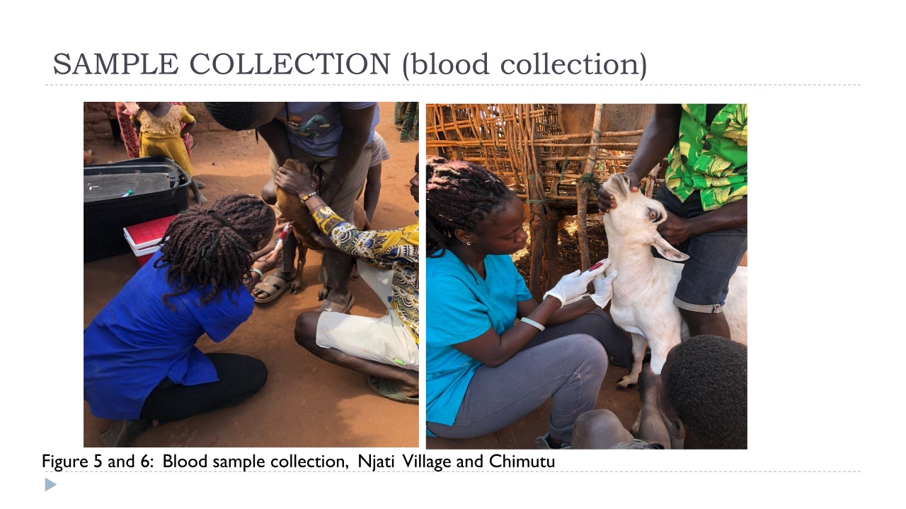 T3-LUANAR-One-Health-Malawi-Symposium-13122022-Bridget-Mnyalira_p_b07