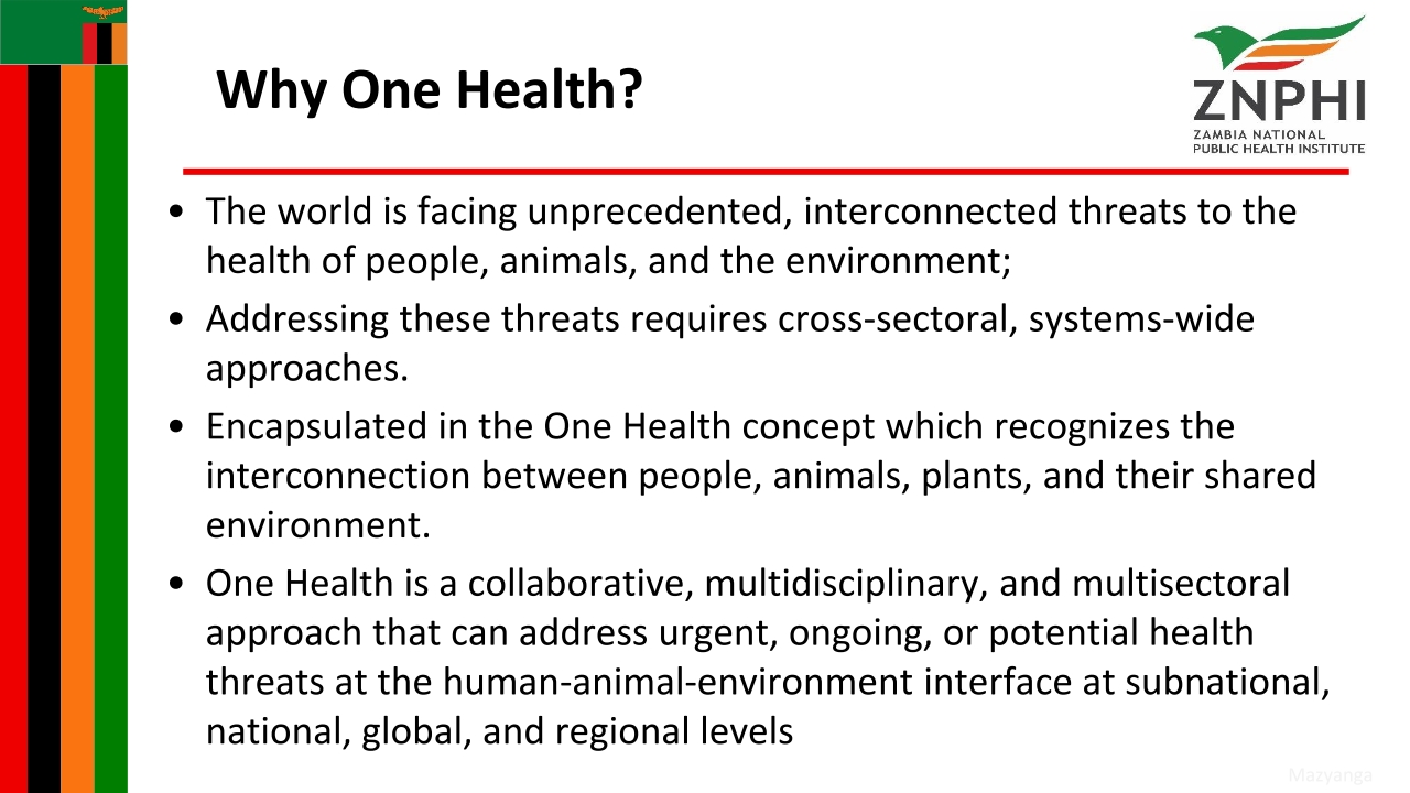 T3-ZNPHI-One-Health-Zambia-National-Strategic-Plan-2022-2026-Overview_p_i02