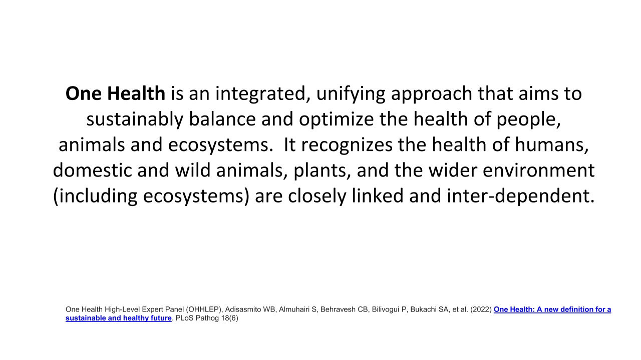 T3-ZNPHI-One-Health-Zambia-National-Strategic-Plan-2022-2026-Overview_p_i03
