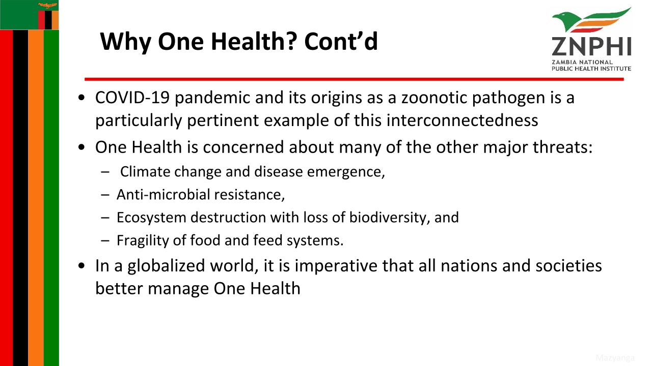 T3-ZNPHI-One-Health-Zambia-National-Strategic-Plan-2022-2026-Overview_p_i04