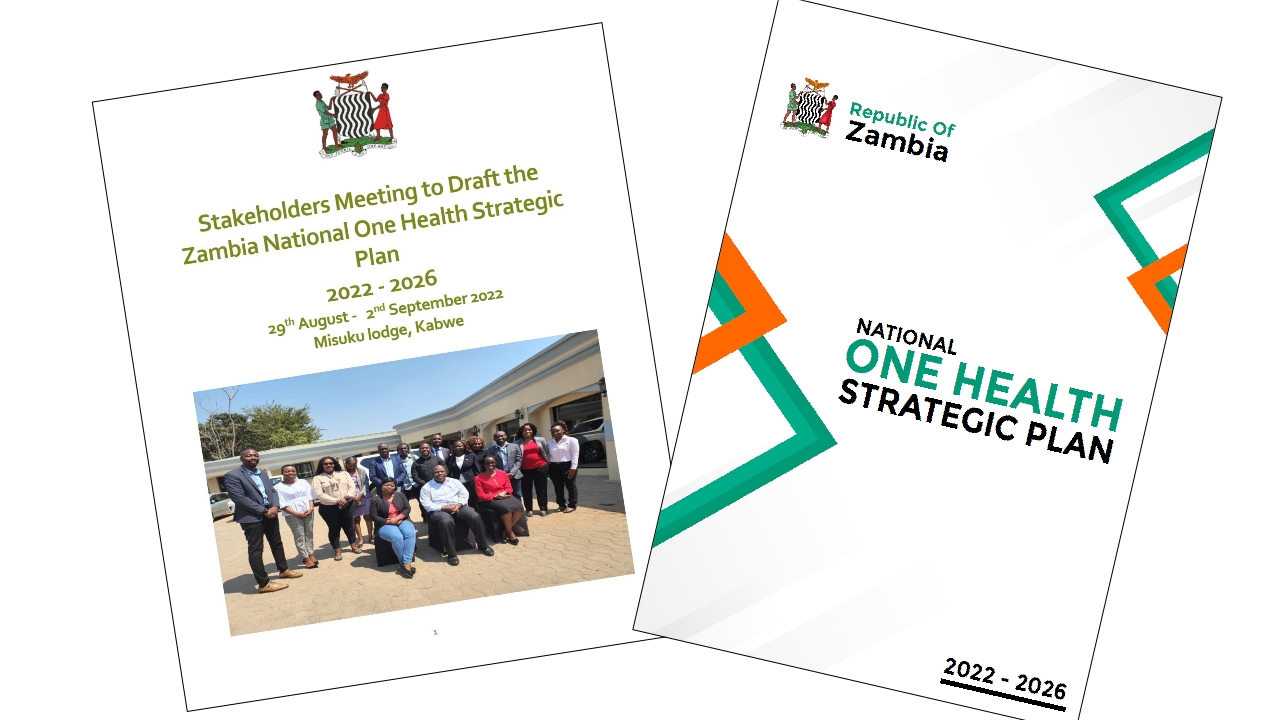 T3-ZNPHI-One-Health-Zambia-National-Strategic-Plan-2022-2026-Overview_p_i07