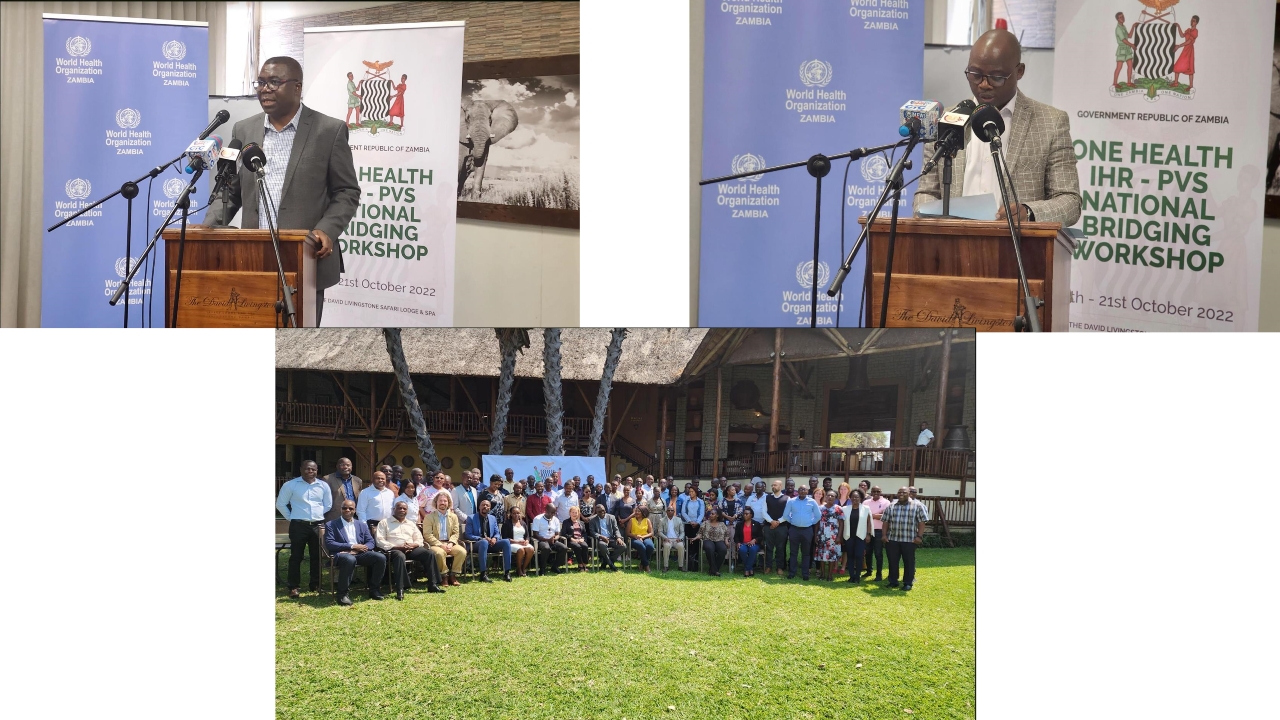 T3-ZNPHI-One-Health-Zambia-National-Strategic-Plan-2022-2026-Overview_p_i09