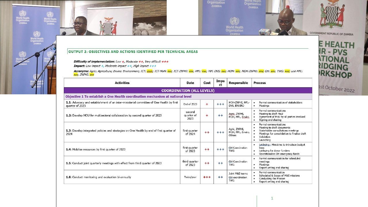 T3-ZNPHI-One-Health-Zambia-National-Strategic-Plan-2022-2026-Overview_p_i10