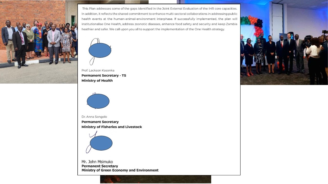 T3-ZNPHI-One-Health-Zambia-National-Strategic-Plan-2022-2026-Overview_p_i12