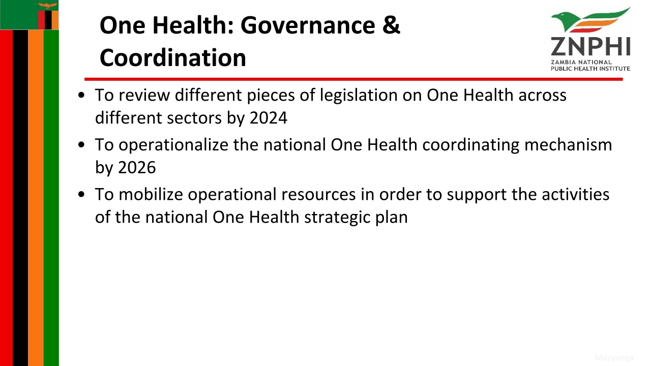 T3-ZNPHI-One-Health-Zambia-National-Strategic-Plan-2022-2026-Overview_p_i13