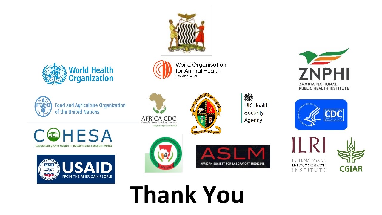 T3-ZNPHI-One-Health-Zambia-National-Strategic-Plan-2022-2026-Overview_p_i19